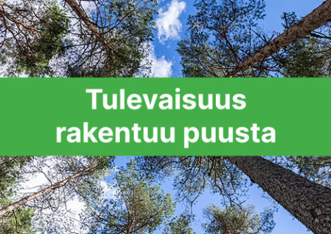 SP Elementit - tulevaisuus rakentuu puusta