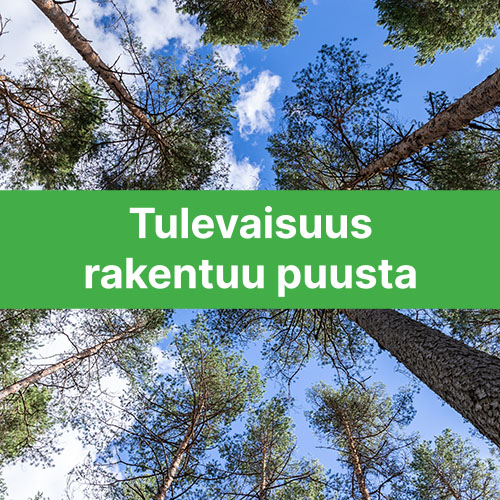 SP Elementit - tulevaisuus rakentuu puusta